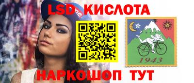 гашик Кимры