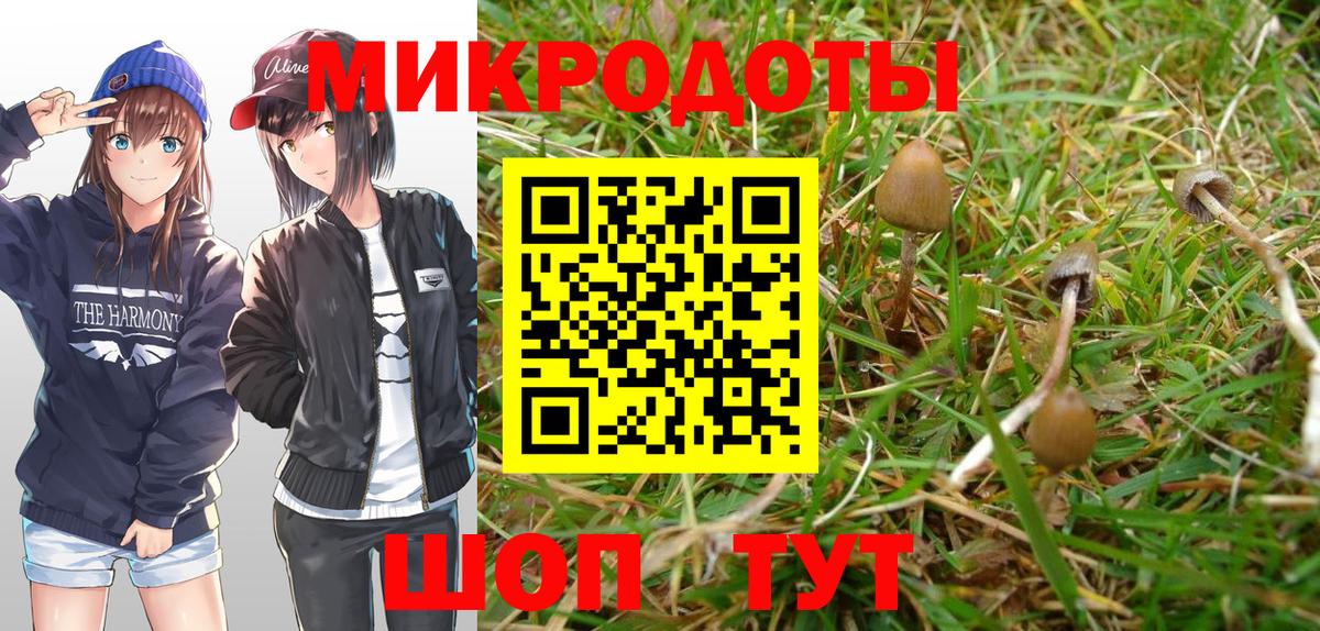 Псилоцибиновые грибы Cubensis Красноармейск